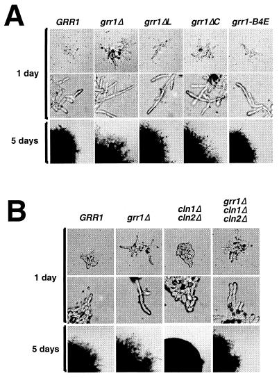 FIG. 9