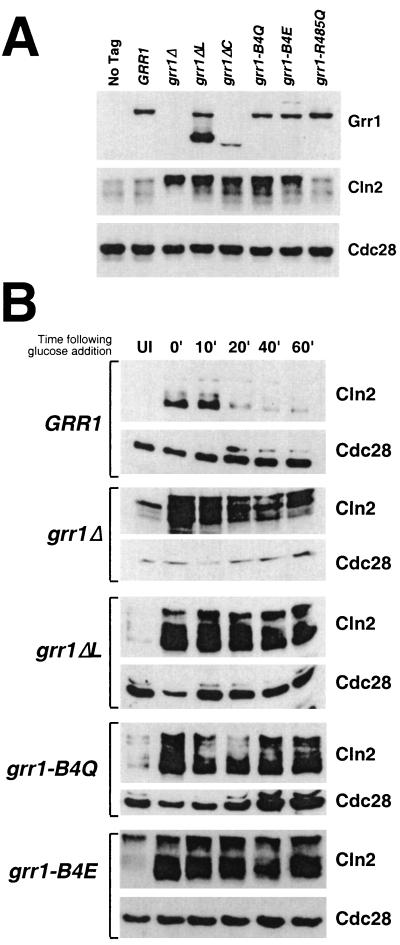 FIG. 5