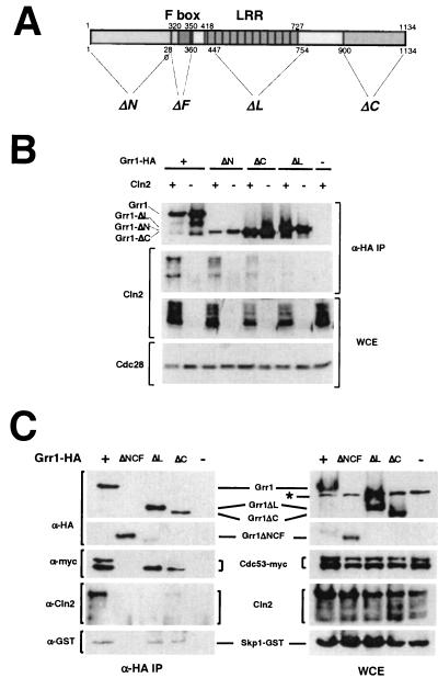 FIG. 1