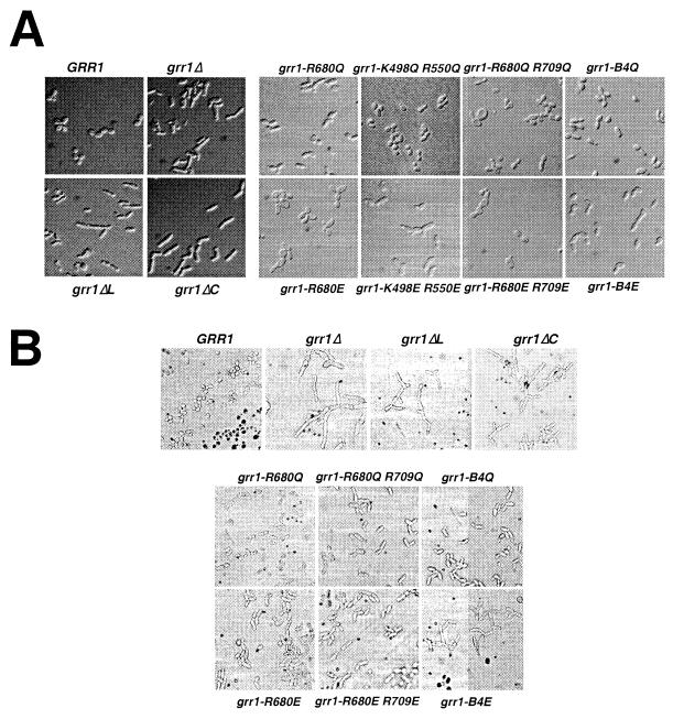 FIG. 6