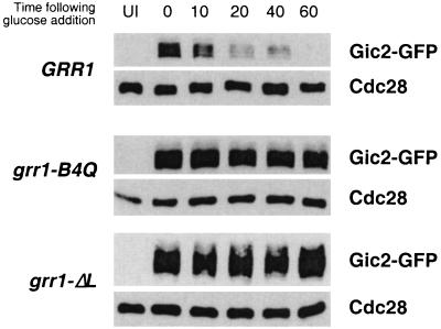 FIG. 7