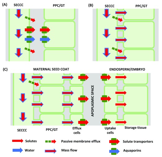 Figure 3. 