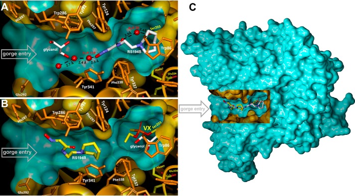 Figure 2.