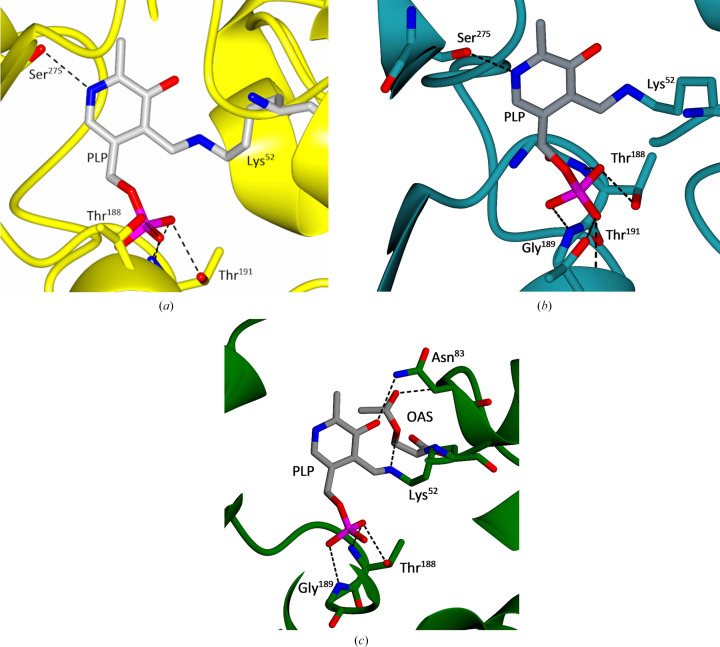 Figure 6