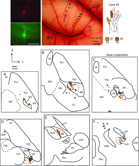 Figure 12.