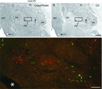 Figure 13.