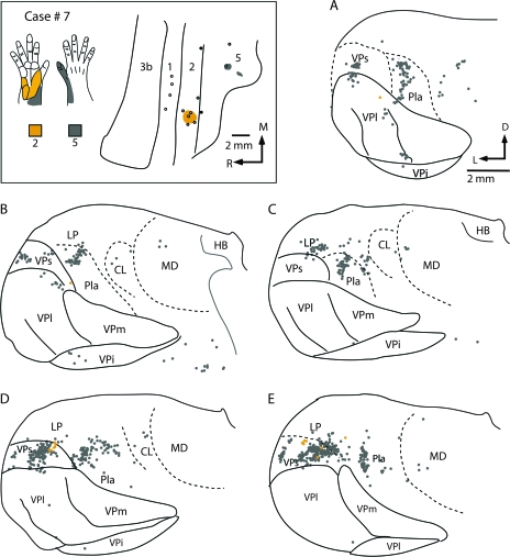 Figure 15.