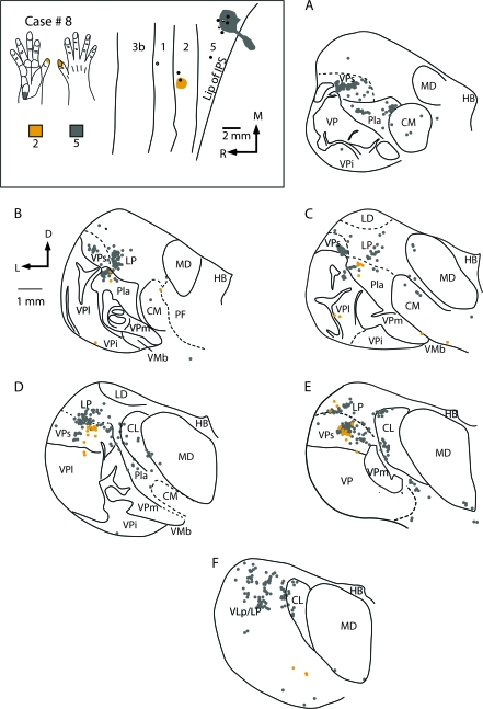 Figure 16.