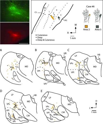 Figure 14.