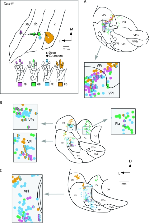 Figure 10.