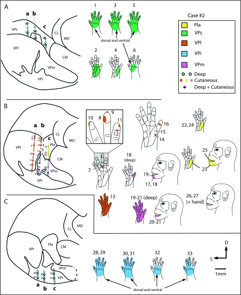 Figure 6.