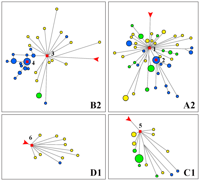 Figure 6