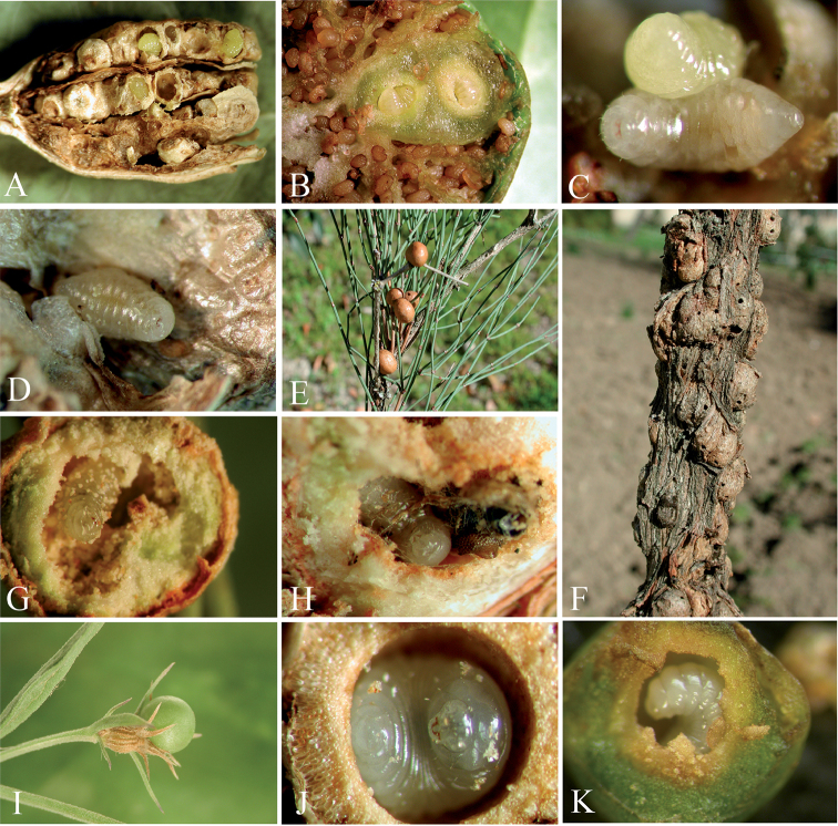 Figure 12.