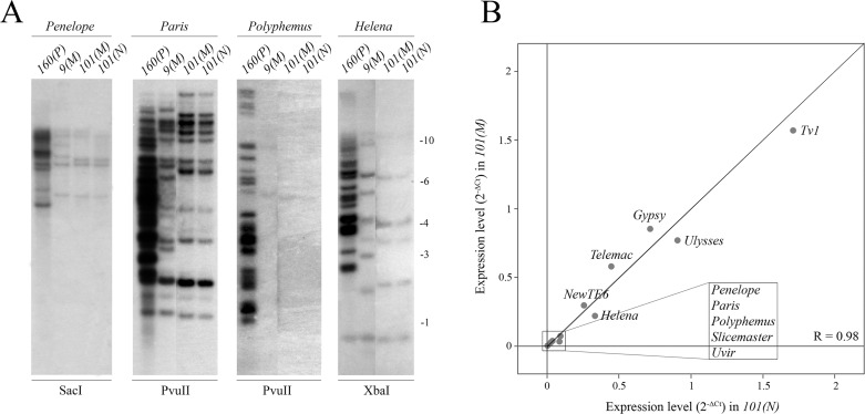 Fig 6