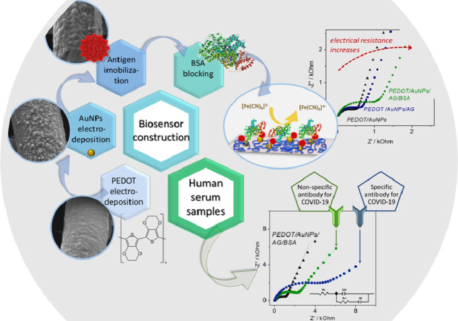 Image, graphical abstract