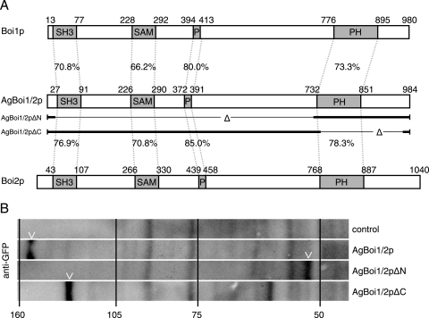 FIG. 3.