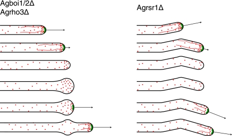 FIG. 8.