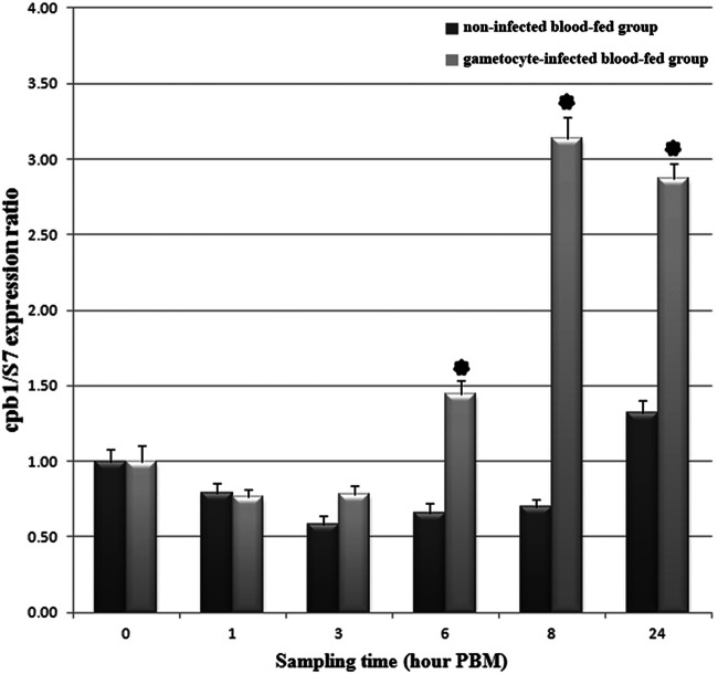 Fig 6