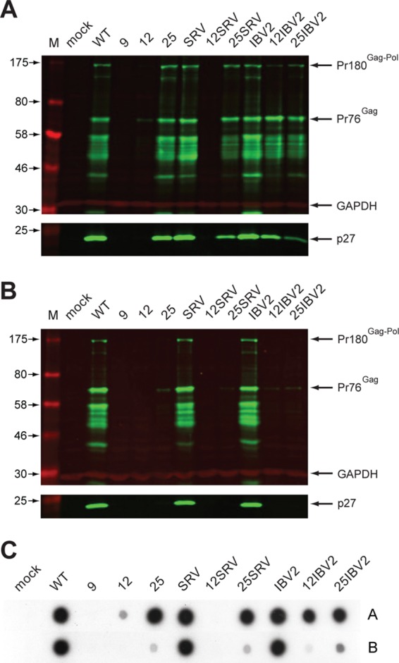 Fig 6