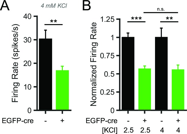 Figure 6—figure supplement 1.