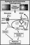 Figure 10.