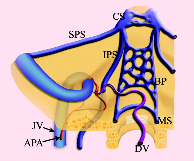 Fig 4.