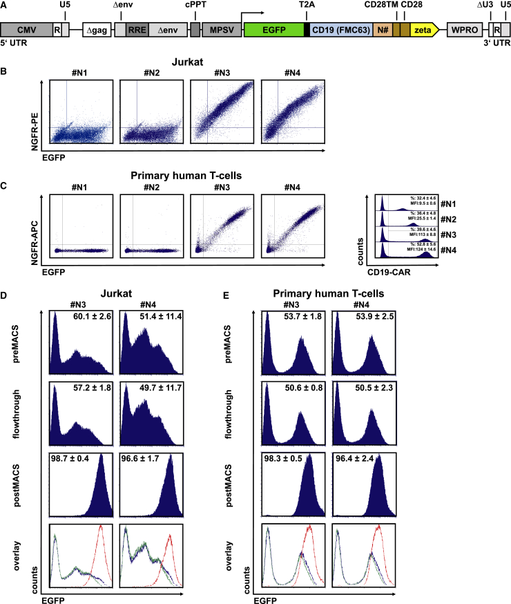 Figure 2