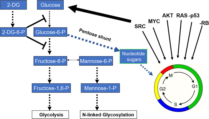 FIGURE 1