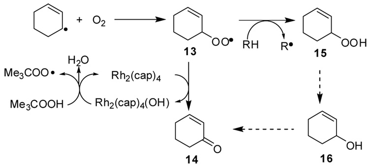 Scheme 2