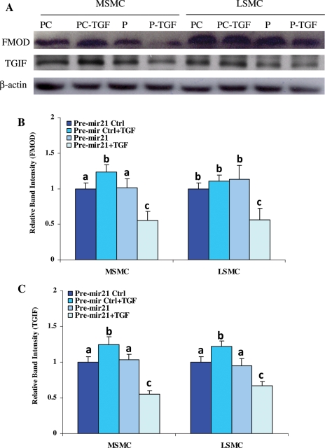 Figure 6