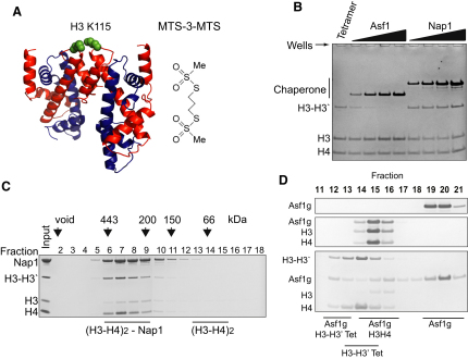 Figure 2