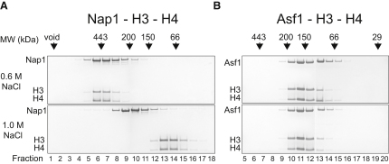 Figure 1