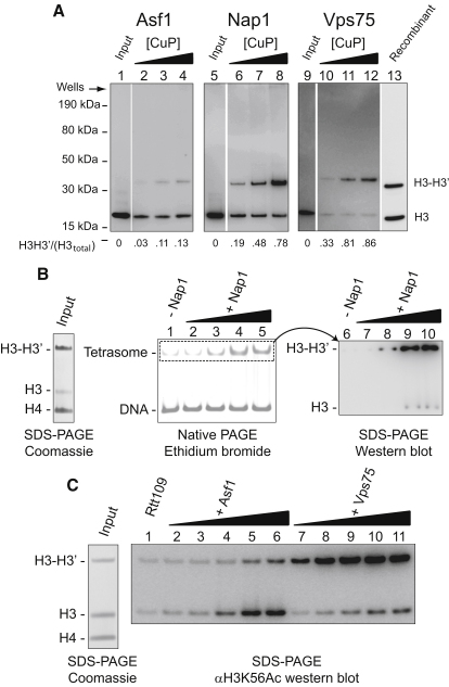 Figure 5