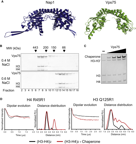 Figure 4