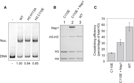 Figure 6