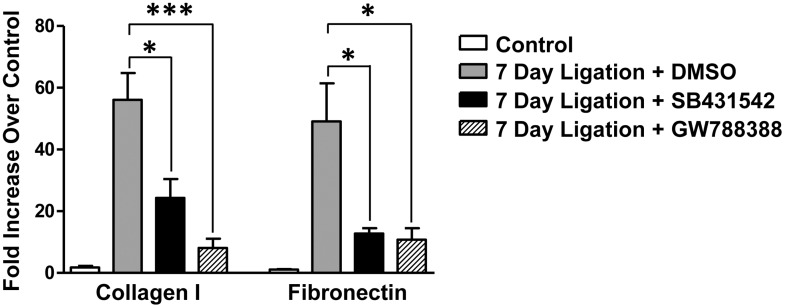 Fig 7