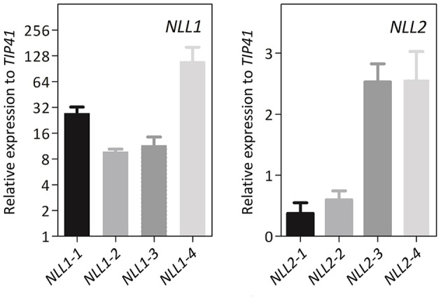 Figure 6