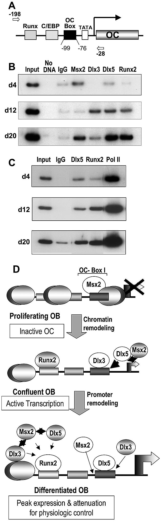 FIG. 8.