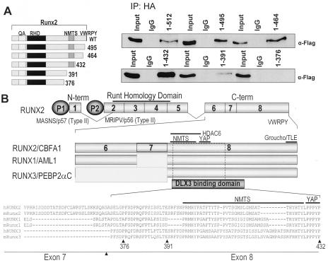 FIG. 7.