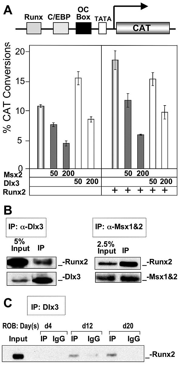 FIG. 6.