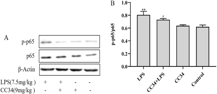 Fig. 10