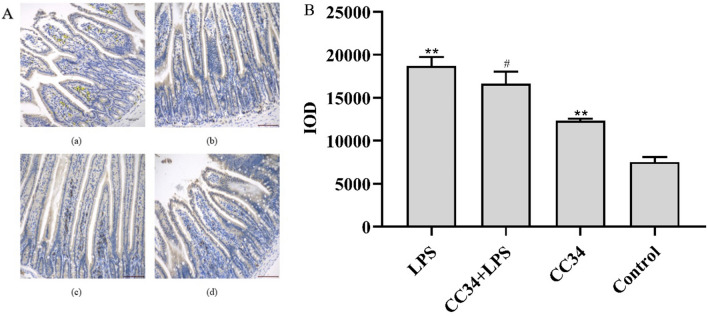 Fig. 9