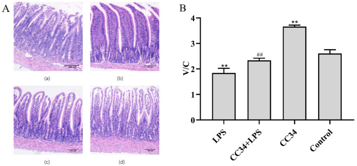 Fig. 8