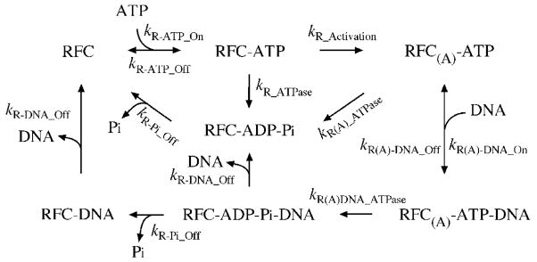 Scheme I