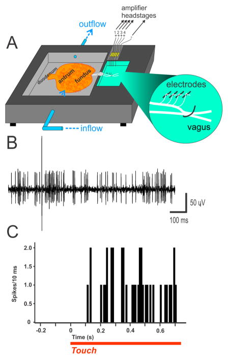 Fig. 6