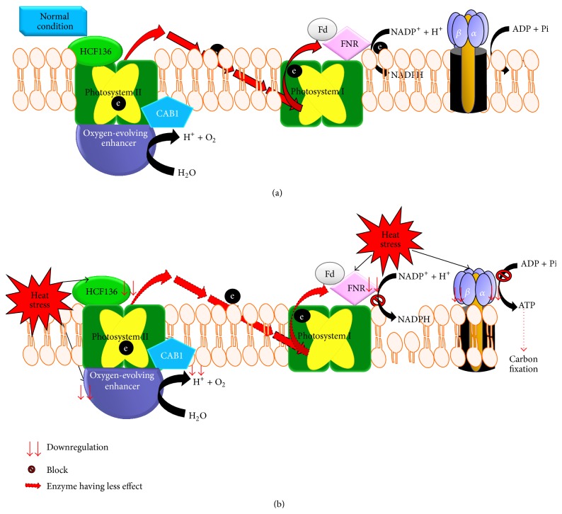 Figure 14