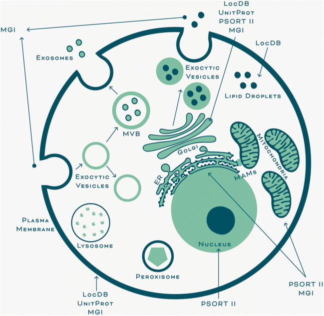 Fig. 1