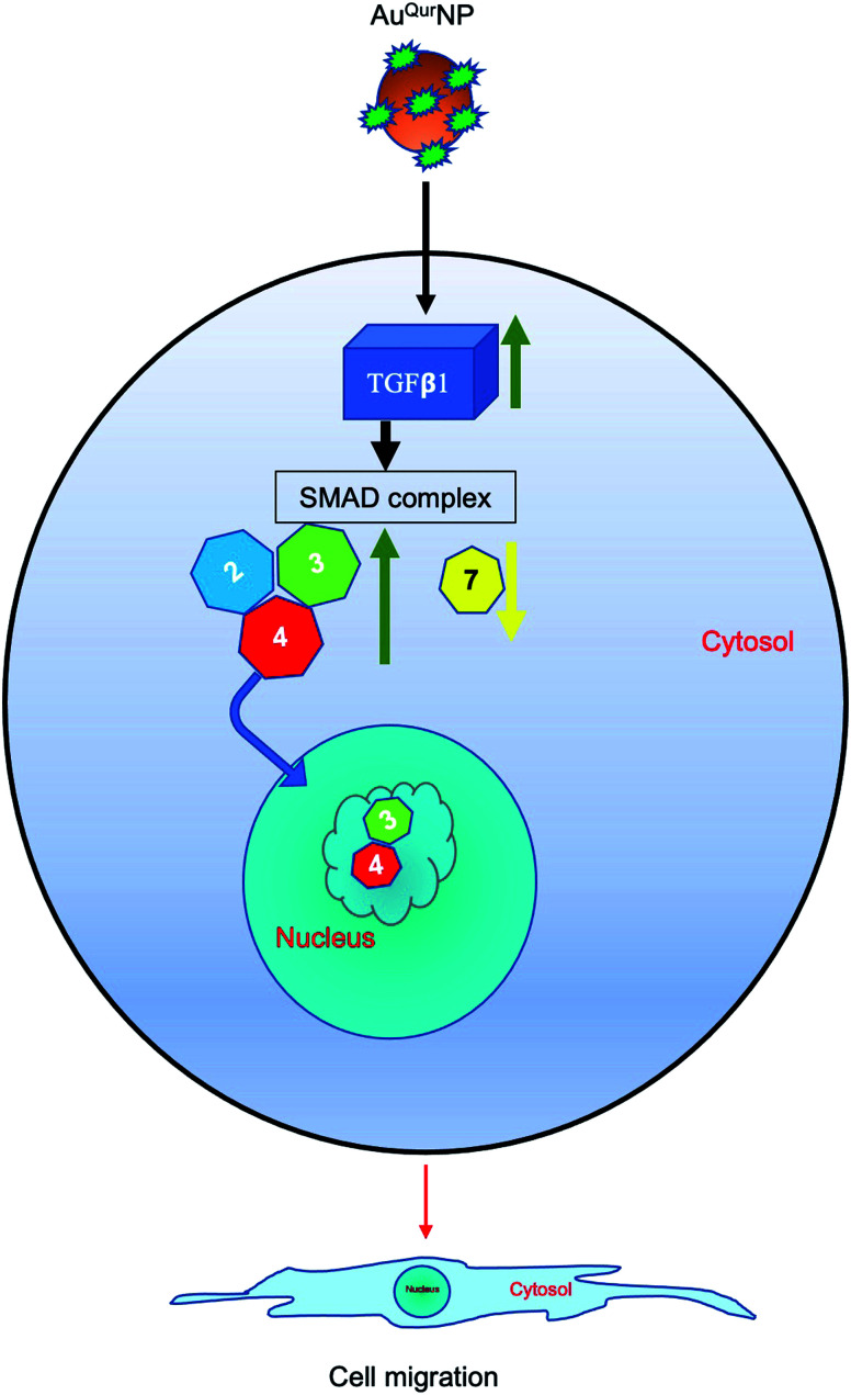 Fig. 11