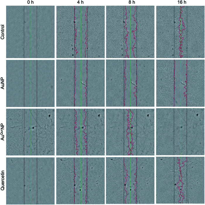 Fig. 6