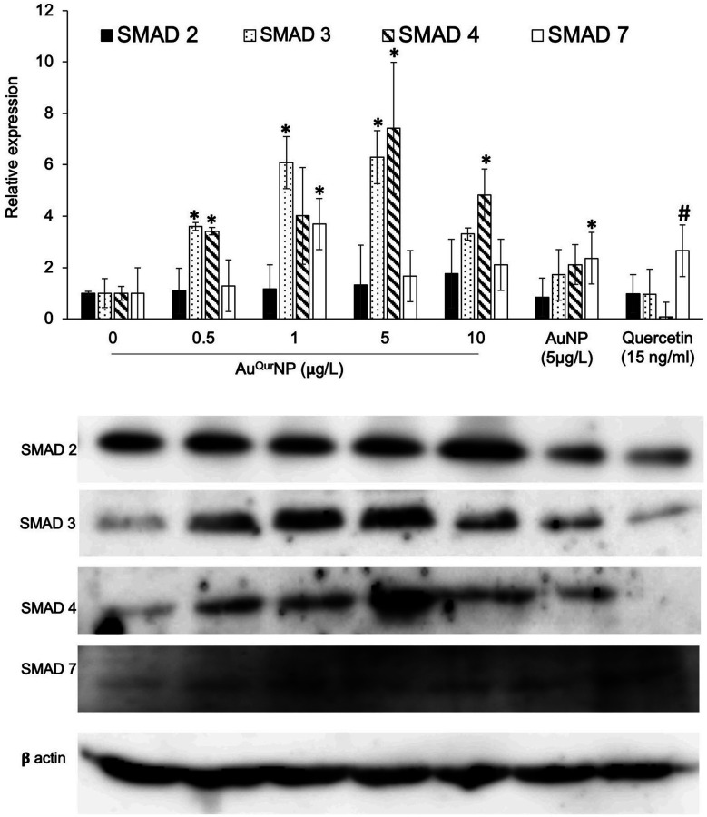 Fig. 9